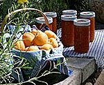 Apricots, and apricot jams