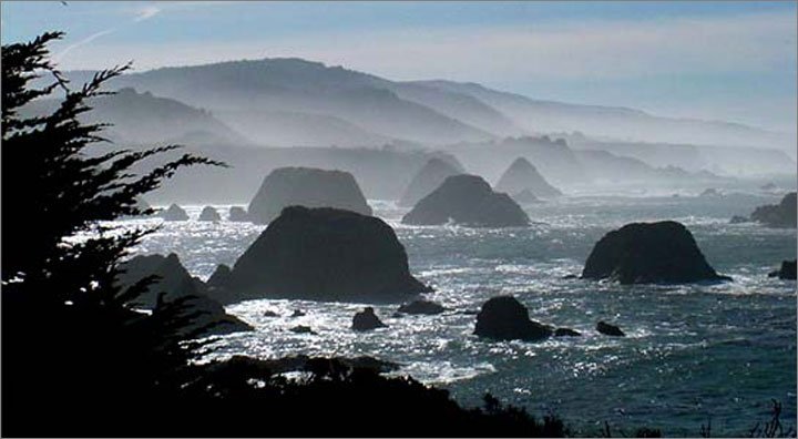 Mendocino Beach